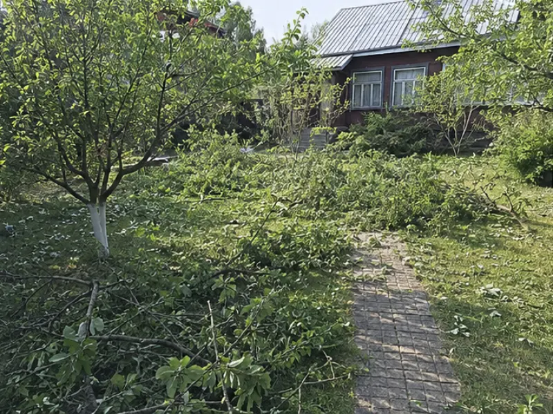 Освобождение дорожки после обрезки до