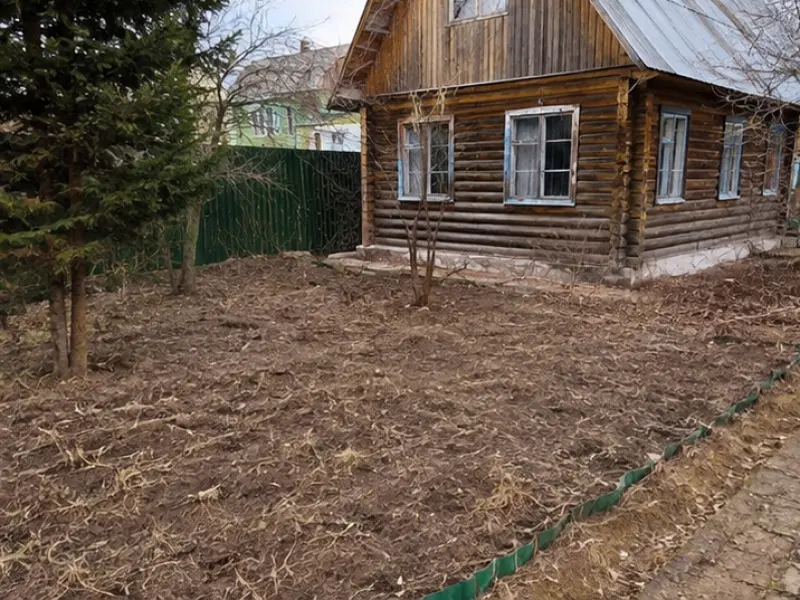 Уборка сухостоя у посадок после