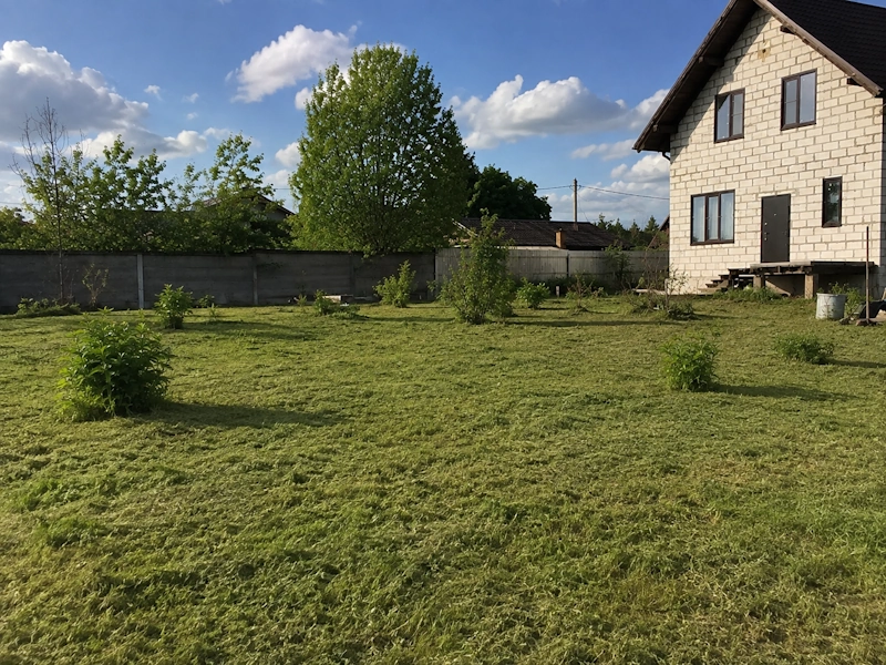 Расчистка заросшего участка после